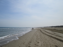 Marina di Ravenna 12 aprile 2015 2 Tappa