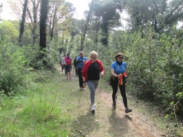 Marina di Ravenna 12 aprile 2015 2 Tappa