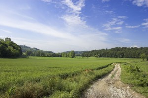 800px Colline moreniche del Garda