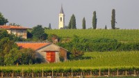 san giorgio in salici maggio 2015 b