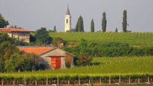 san giorgio in salici maggio 2015 b